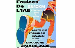 Les foulées de l'IAE